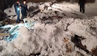 Siirt’te karın ağırlığıyla 3 ahırın çatısı çöktü; çok sayıda hayvan öldü