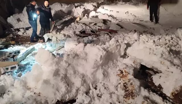 Siirt’te karın ağırlığıyla 3 ahırın çatısı çöktü; çok sayıda hayvan öldü