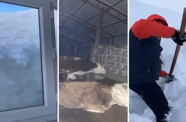 Sosyal medyada gündem olan “Yardım çığlığı” asılsız çıktı