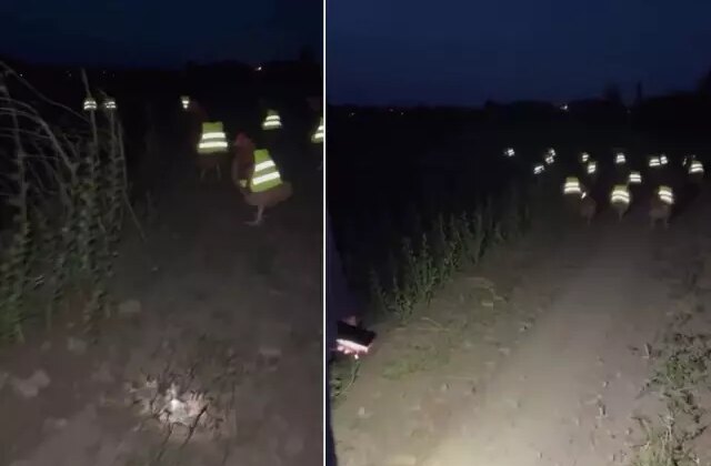 Süreli kayboluyorlardı, çareyi bu taktikte buldu