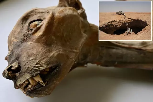 suudi arabistan da bir magarada 7 mumyalanmis 19468313 8621 o