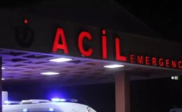 Tartıştığı kayınbiraderini acımadan vurdu