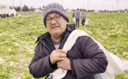 İsyan edip tüm ekini bedava dağıttı, duyan çuval çuval topladı! Bir günde bitti