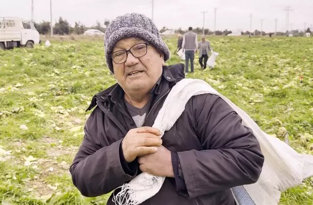 İsyan edip tüm ekini bedava dağıttı, duyan çuval çuval topladı! Bir günde bitti