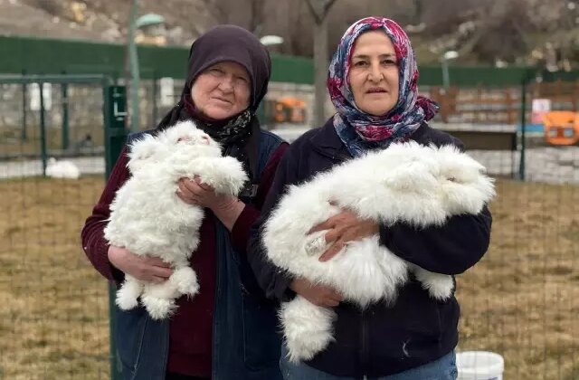 3 asır önce nesli tükenmişti! Yeniden anavatanından yetiştiriliyor