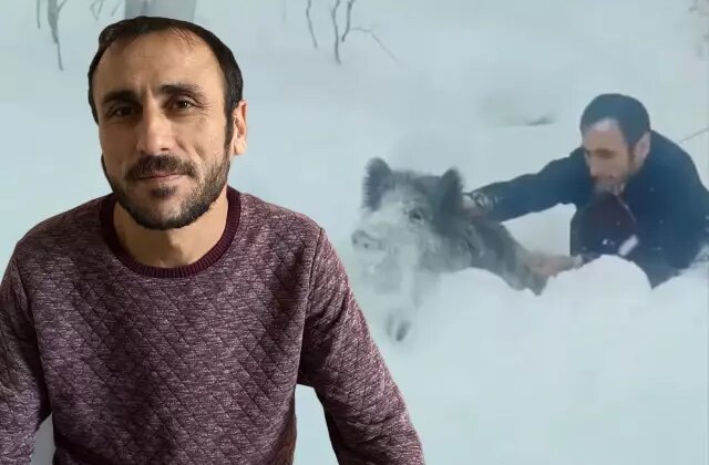 Yaban domuzunu çıplak elle yakalayan adam: Kimseye tavsiye etmem