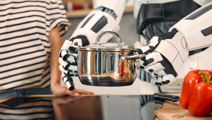 Yapay zeka için yaptıklarına bakın! Ev hanımlarına kamera takıp…