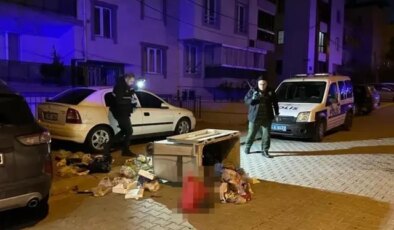 Uşak’ta çöpte bebek cesedi bulundu, aileye dair gerçek herkesi şaşırttı