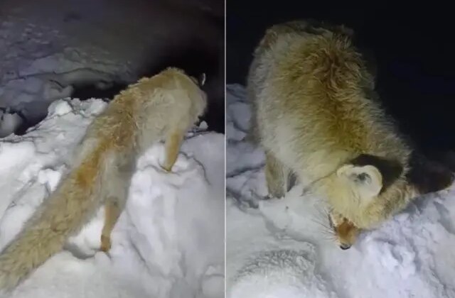Yıllarca anlatılan efsane gerçek oldu