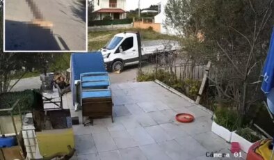 Yol kenarında yatan köpeği ezdi, arkasına bakmadan gitti