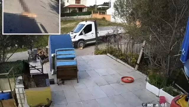 Yol kenarında yatan köpeği ezdi, arkasına bakmadan gitti