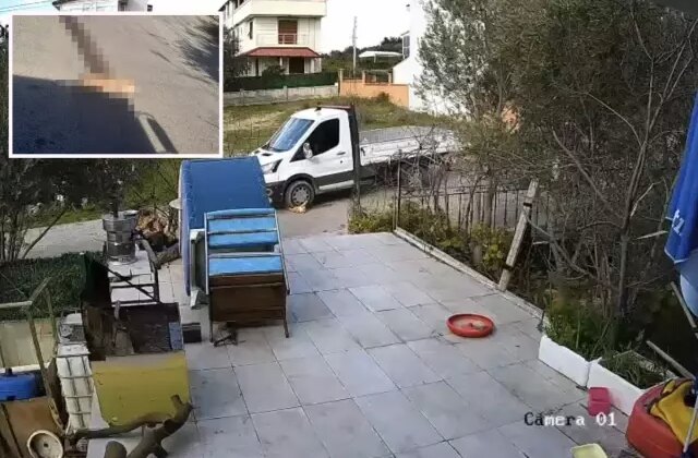 Yol kenarında yatan köpeği ezdi, arkasına bakmadan gitti