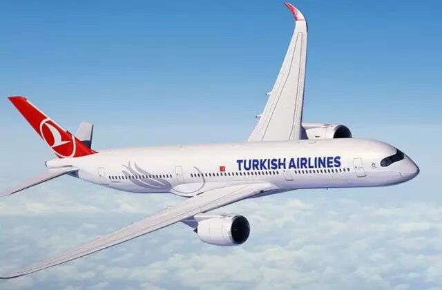 Yolcu internet ağ adını değiştirdi, THY uçağı acil iniş yaptı