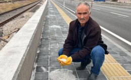 Yurt dışından gelen TIR’lardan dökülüyor, bahçesine ekip para kazanıyor