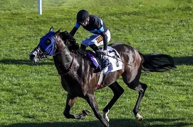 “100 milyonluk yarış atları kayıp” iddiasına açıklama geldi