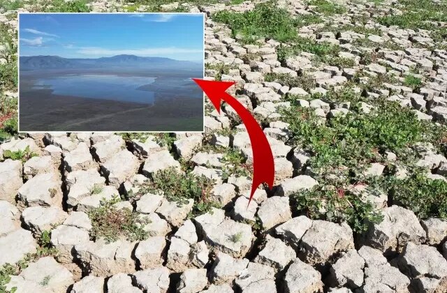 3 ilçeyi besleyen göl yeniden su tutmaya başladı! Her yerden su fışkırıyor