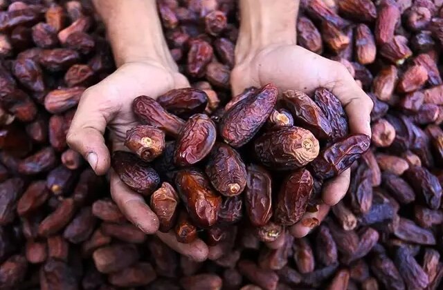 Aman dikkat! Yanlış saklanan hurma ölüme götürebilir