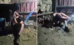 Ahırdaki işkence görüntülerinin ardından jandarma harekete geçti