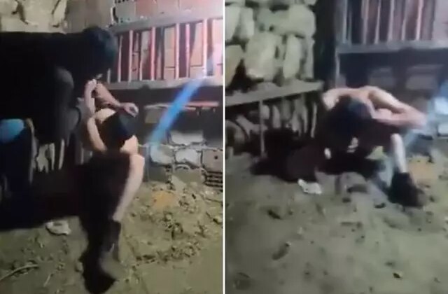 Ahırdaki işkence görüntülerinin ardından jandarma harekete geçti