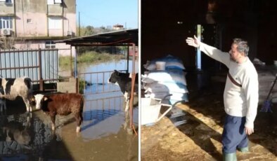 Antalya’da sağanak yağış hayatı felç etti! Mahsur kalan hayvanlar kurtarıldı