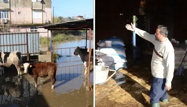 Antalya’da sağanak yağış hayatı felç etti! Mahsur kalan hayvanlar kurtarıldı