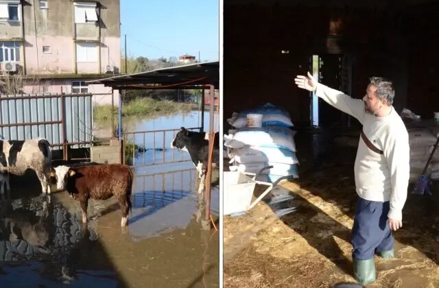 Antalya’da sağanak yağış hayatı felç etti! Mahsur kalan hayvanlar kurtarıldı