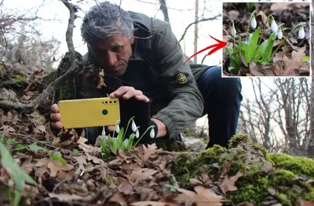 Avrupa resmen peşine düştü! Milli servetimizi kaçırmak istiyorlar