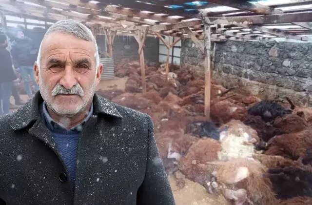 Bir gecede 200 koyunu telef olan vatandaşı duygulandıran bağış