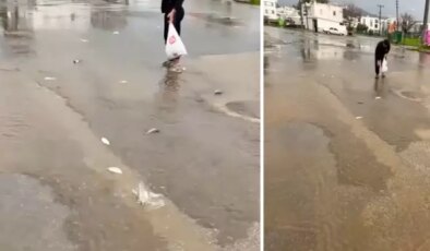 Sağanak göleti taşırdı, gökten asfalta balık yağdı! Poşetini kapan topladı