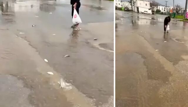 Sağanak göleti taşırdı, gökten asfalta balık yağdı! Poşetini kapan topladı