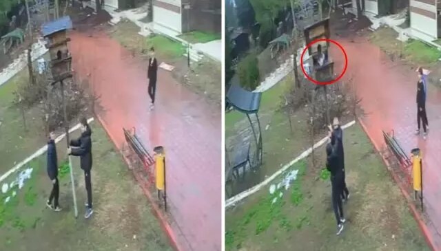 Bunlar nasıl çocuk? Görüntüyü izleyenler emniyeti etiketledi