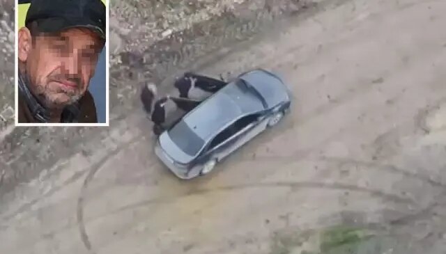 Çalışanını elektrikli testereyle ağır yaralayan çiftlik sahibi ormanlık alanda yakalandı