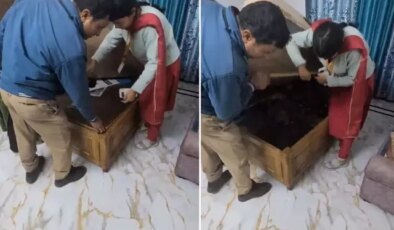 Divanın altından dram çıktı: Kapağı açan yetkililer…