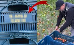 Domatesleri topladığı kasaya bile onun adını yazdırdı