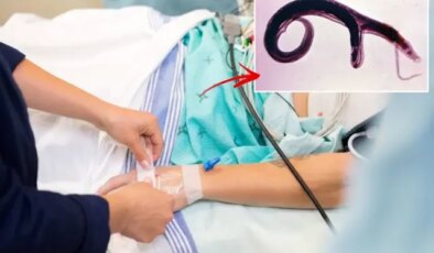 DSÖ’den küresel alarm! Cinsel organlara yerleşen parazit evrim geçirdi, yeni ülkelere yayılabilir