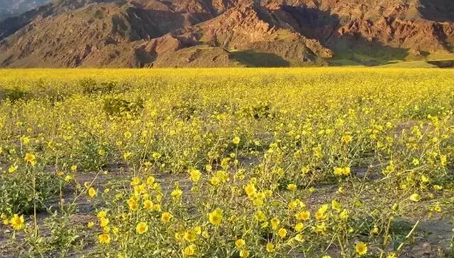 Kıyamet alameti mi? Ölüm Vadisi’nden gelen görüntü dünyayı şoke etti
