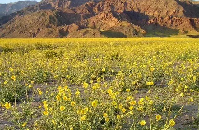 Kıyamet alameti mi? Ölüm Vadisi’nden gelen görüntü dünyayı şoke etti
