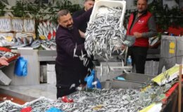 Edirne’de hamsi 50 liraya düştü, tezgahlarda kuyruk oluştu