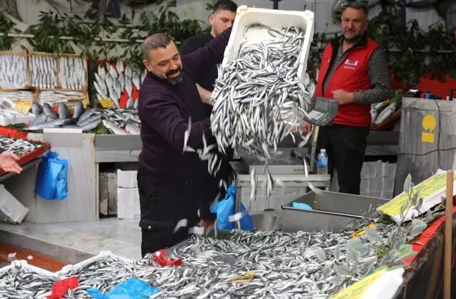 Edirne’de hamsi 50 liraya düştü, tezgahlarda kuyruk oluştu