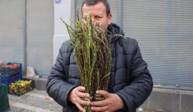 Halk arasında ‘acı ot’ diye biliniyor, faydaları saymakla bitmiyor