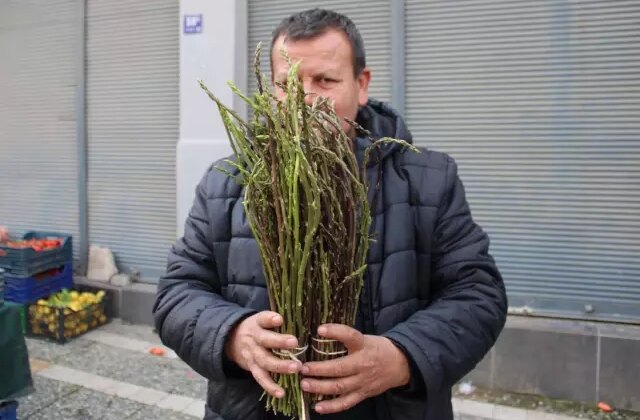 Halk arasında ‘acı ot’ diye biliniyor, faydaları saymakla bitmiyor