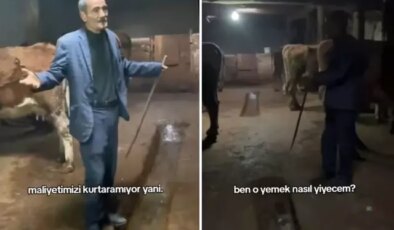 Hayvanlarına yem alamayan vatandaşın isyanı: Yemin ederim içim yanıyor