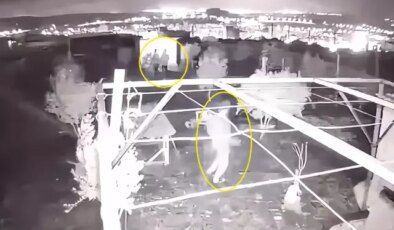 Hobi bahçesine giren 3 çocuk, 25 güvercini çalıp kaçtı