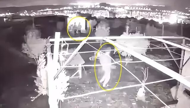 Hobi bahçesine giren 3 çocuk, 25 güvercini çalıp kaçtı