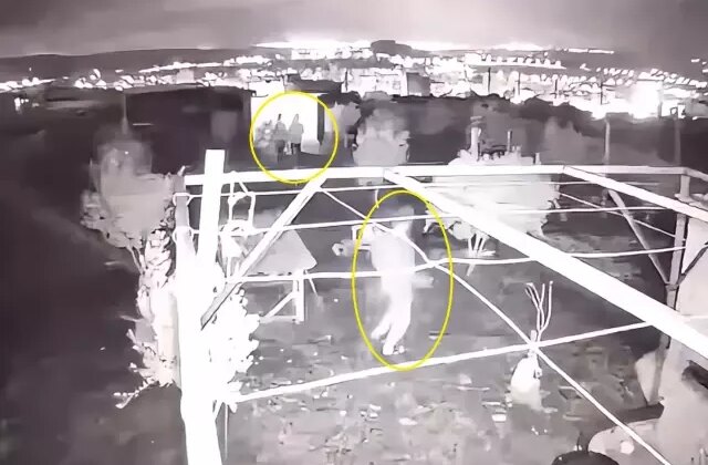 Hobi bahçesine giren 3 çocuk, 25 güvercini çalıp kaçtı