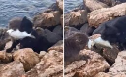 İkisi de mücadeleyi bırakmadı