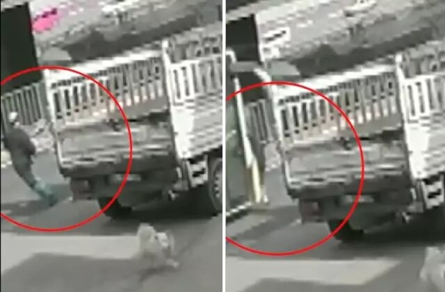 İnfial yaratan olay sonrası açıklama geldi: CHP’li belediyenin yetki alanında