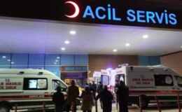 “İstanbul’da kuduz vakalarında patlama” iddialarına valilikten yanıt