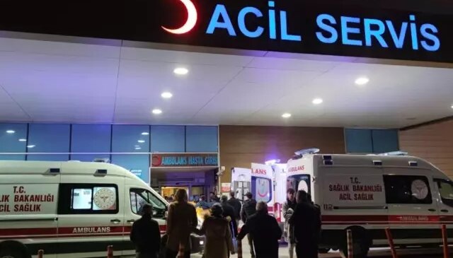 “İstanbul’da kuduz vakalarında patlama” iddialarına valilikten yanıt