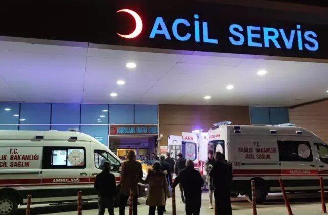 “İstanbul’da kuduz vakalarında patlama” iddialarına valilikten yanıt